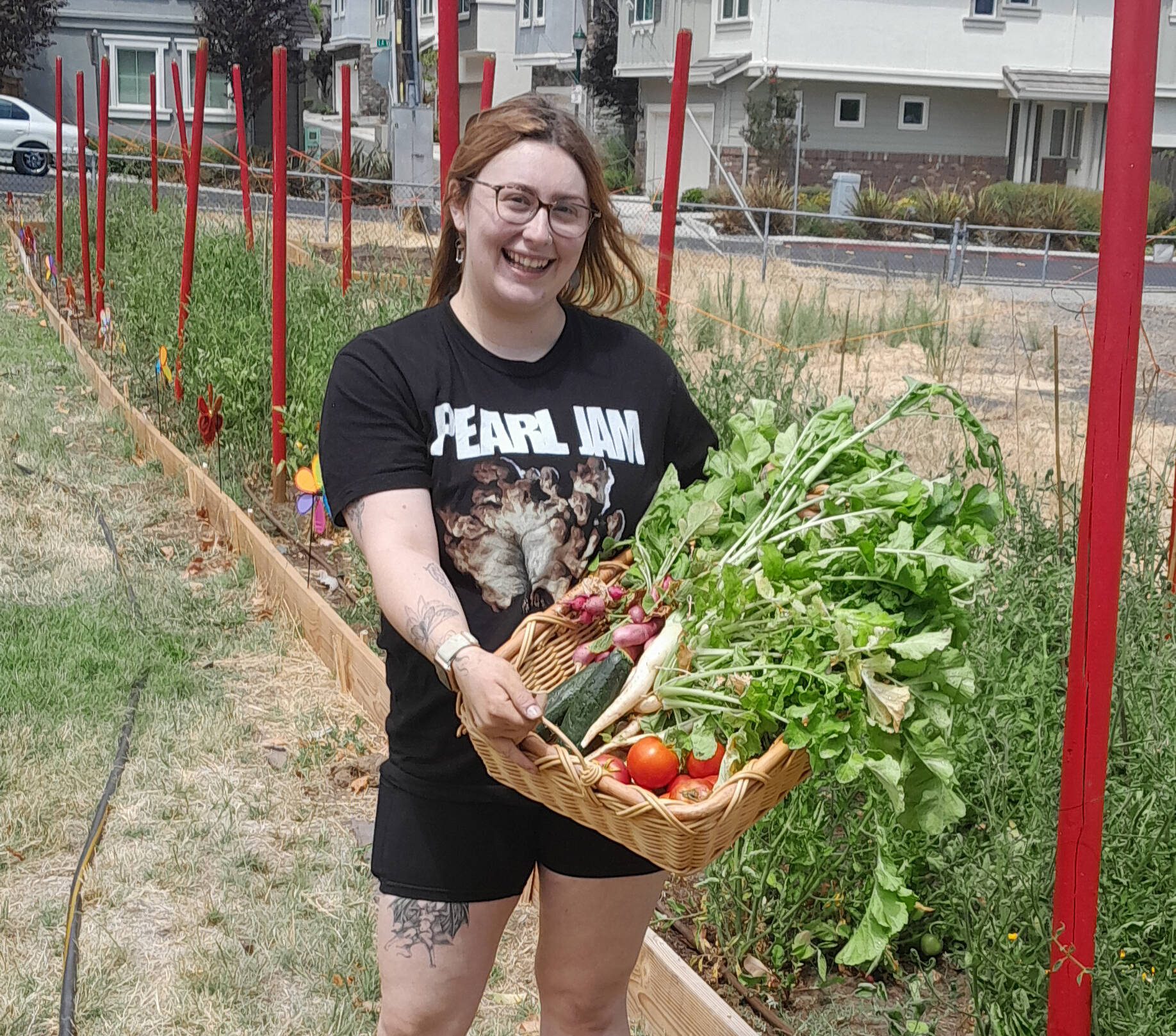 The Free Tomato Project | THE FREE TOMATO PROJECT ?